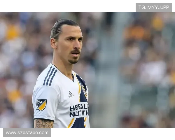 足球巨星伊布奢华豪宅揭秘尽显奢华生活与独特品味